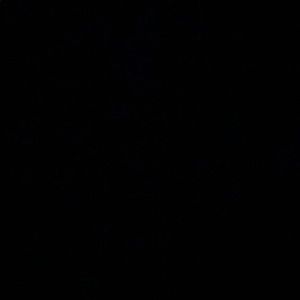 Meet your Posher, George